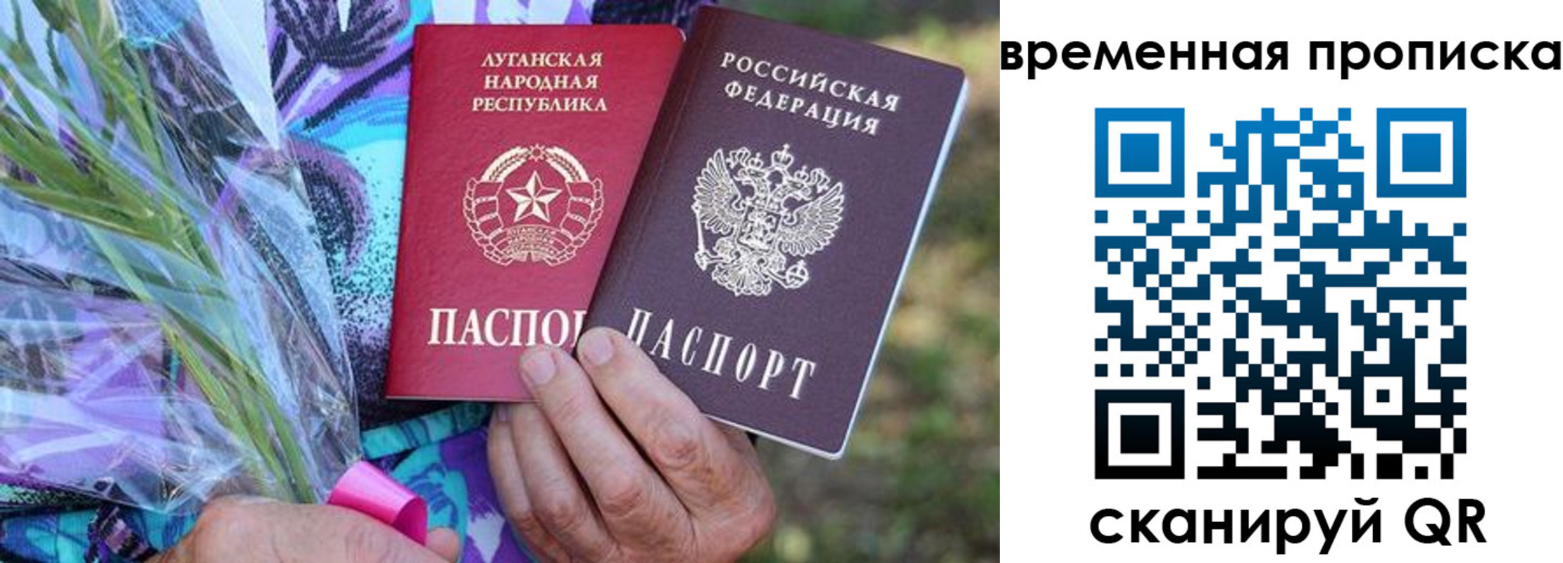 купить прописку в Сясьстрое